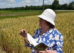 Щорічний традиційний огляд дослідів кафедр